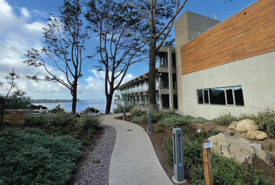campus landscape